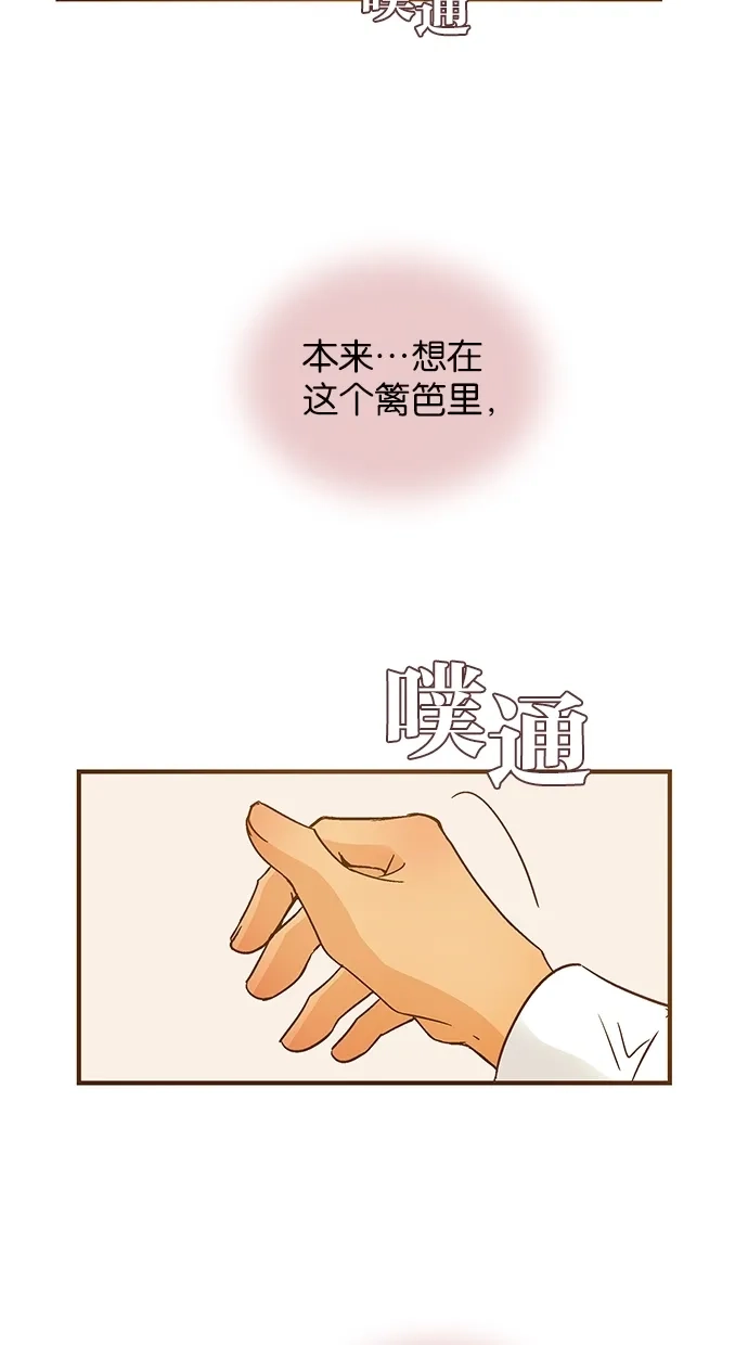 《甜蜜婚礼》第52话 第47页