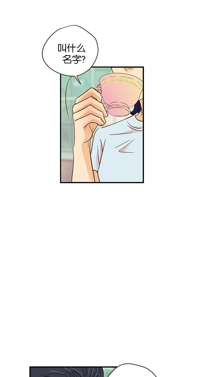 《甜蜜婚礼》第56话 第29页