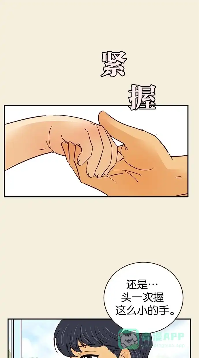 《甜蜜婚礼》第64话 第51页