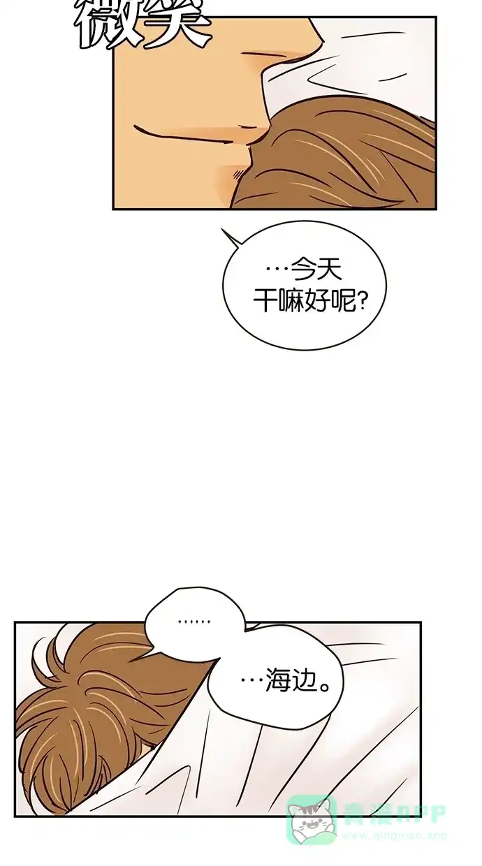 《甜蜜婚礼》第65话 第51页