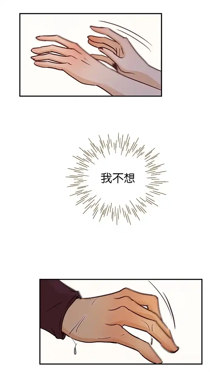 《甜蜜婚礼》第80话 第52页