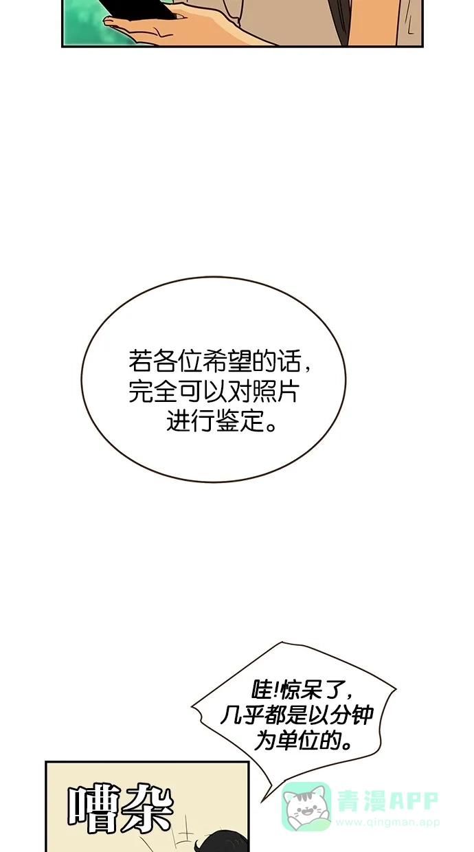 《甜蜜婚礼》第88话 第41页