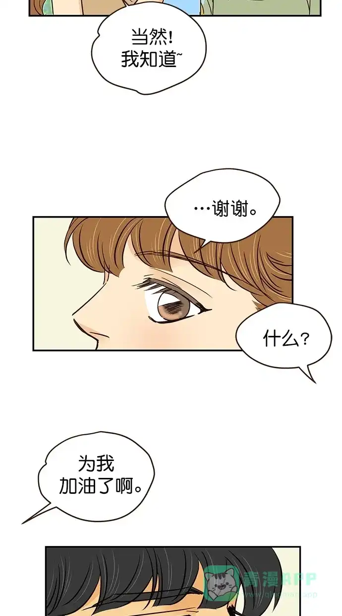 《甜蜜婚礼》第93话 第31页