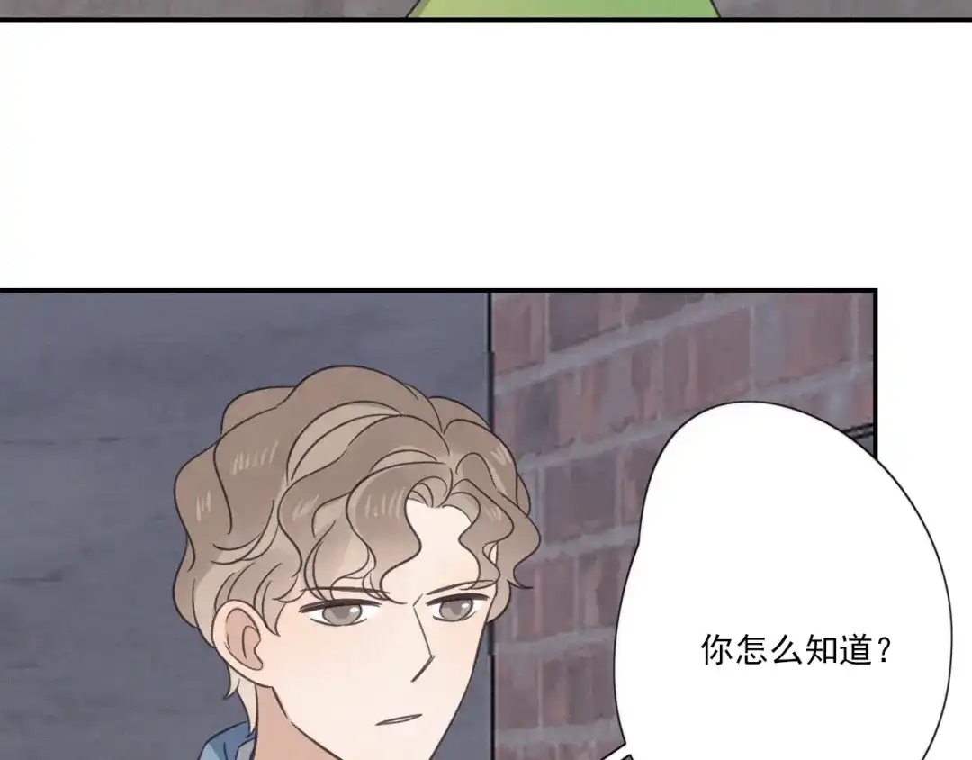 《甜蜜取向》完结篇 答案揭秘 第74页