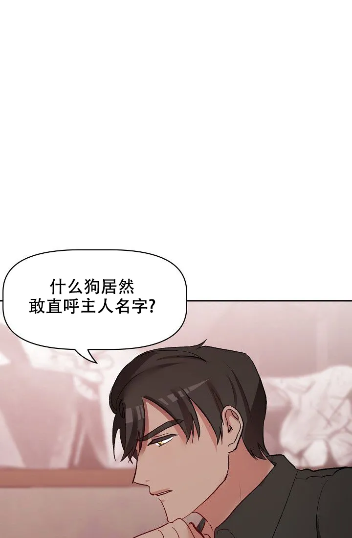 《天使降临》第33话 第37页