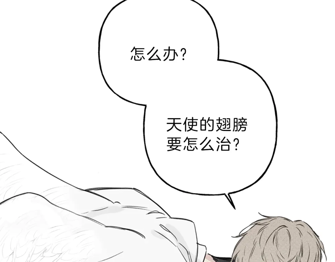 《天使拍档》序章 腹黑天使与通灵少年 第19页