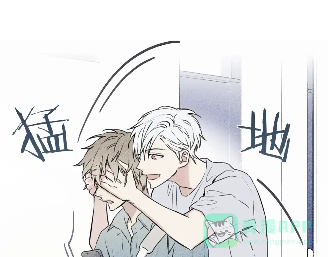 《天使拍档》第24话 你真的想帮它们？ 第21页