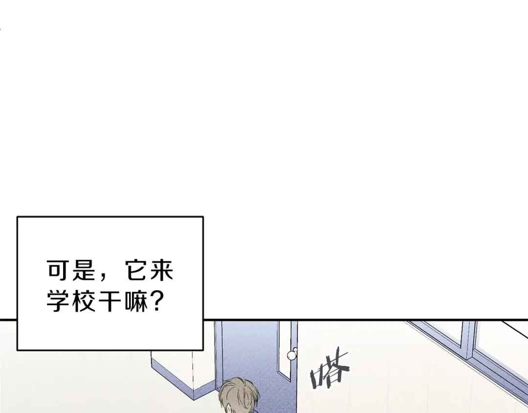 《天使拍档》第2话 被一只小鸟碰瓷了 第9页