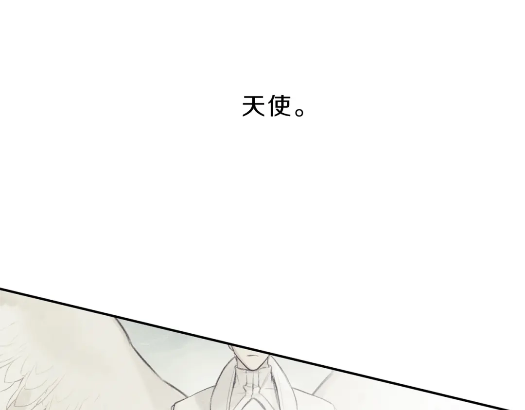 《天使拍档》第2话 被一只小鸟碰瓷了 第5页