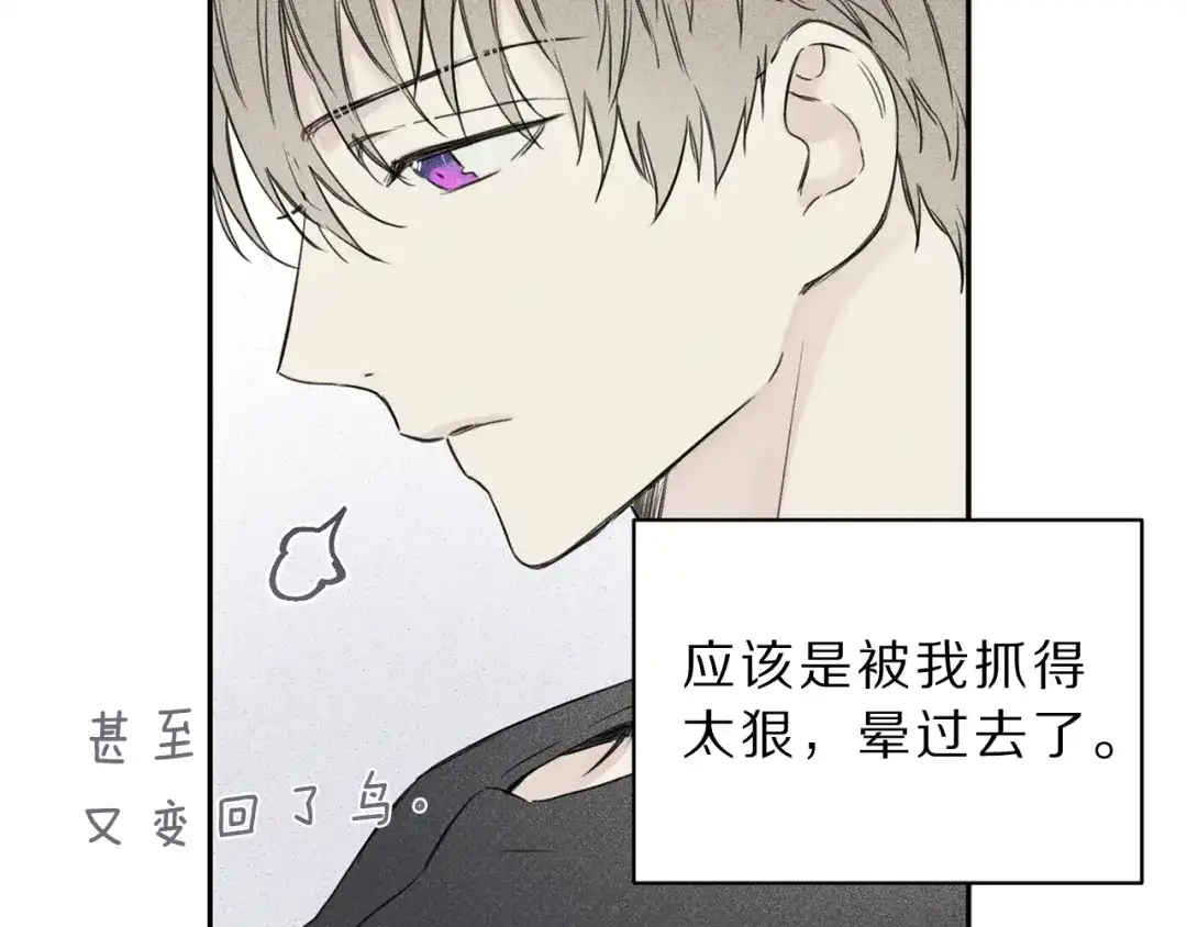《天使拍档》第2话 被一只小鸟碰瓷了 第80页