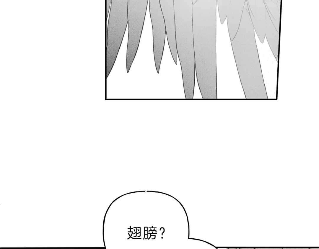 《天使拍档》第2话 被一只小鸟碰瓷了 第102页