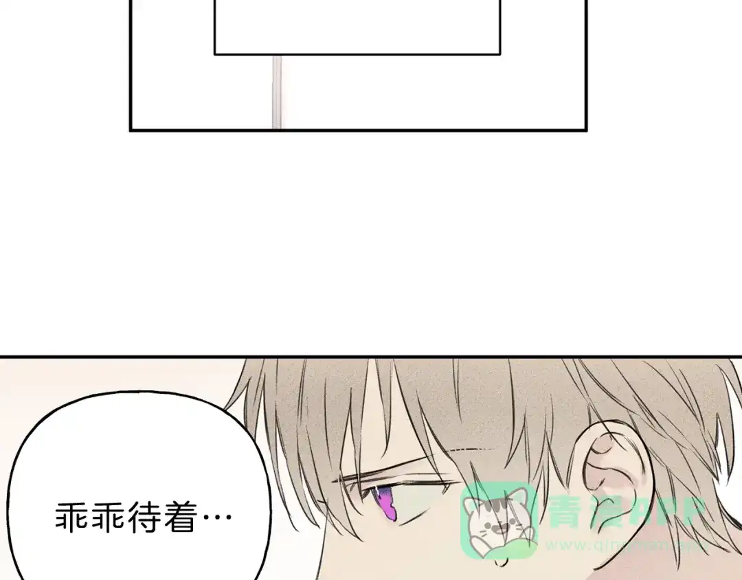 《天使拍档》第2话 被一只小鸟碰瓷了 第51页