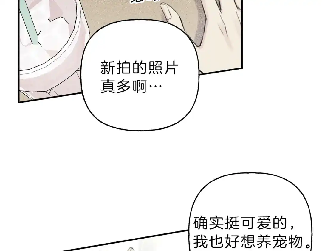 《天使拍档》第51话 热恋期 第48页
