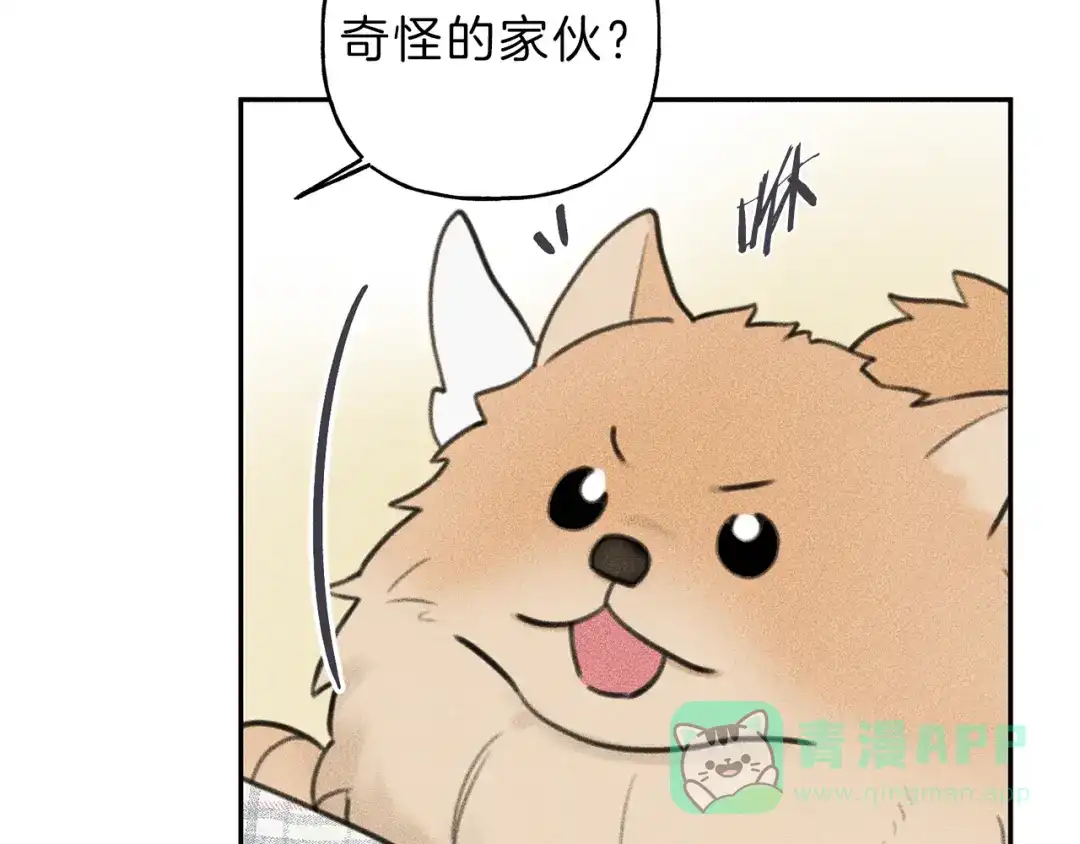 《天使拍档》第64话 混蛋！快想办法 第96页