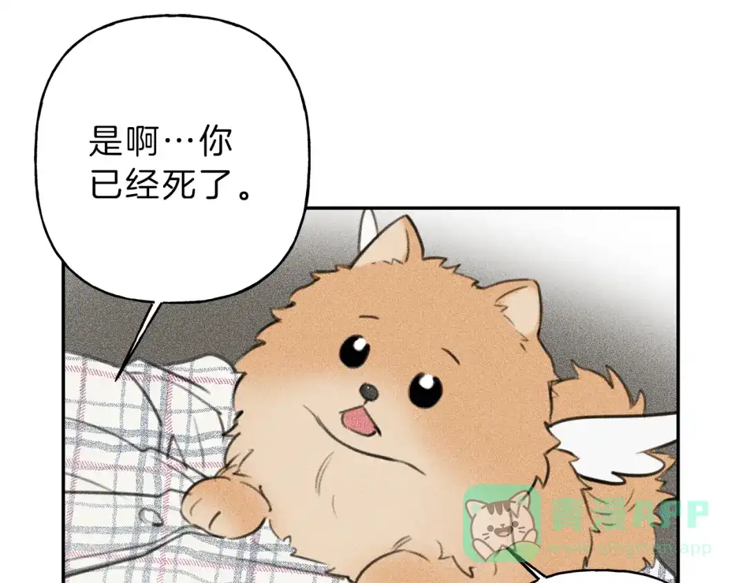 《天使拍档》第65话 换我来绑住你！ 第26页