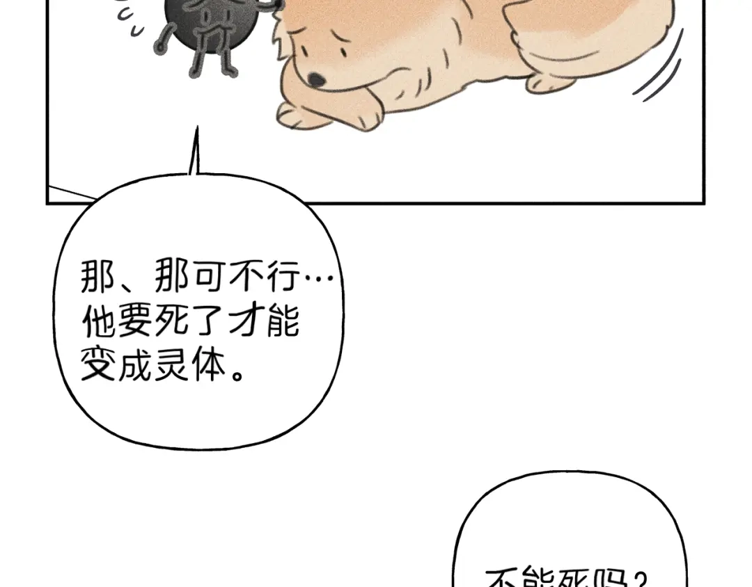 《天使拍档》第66话 兔子装如何？ 第100页