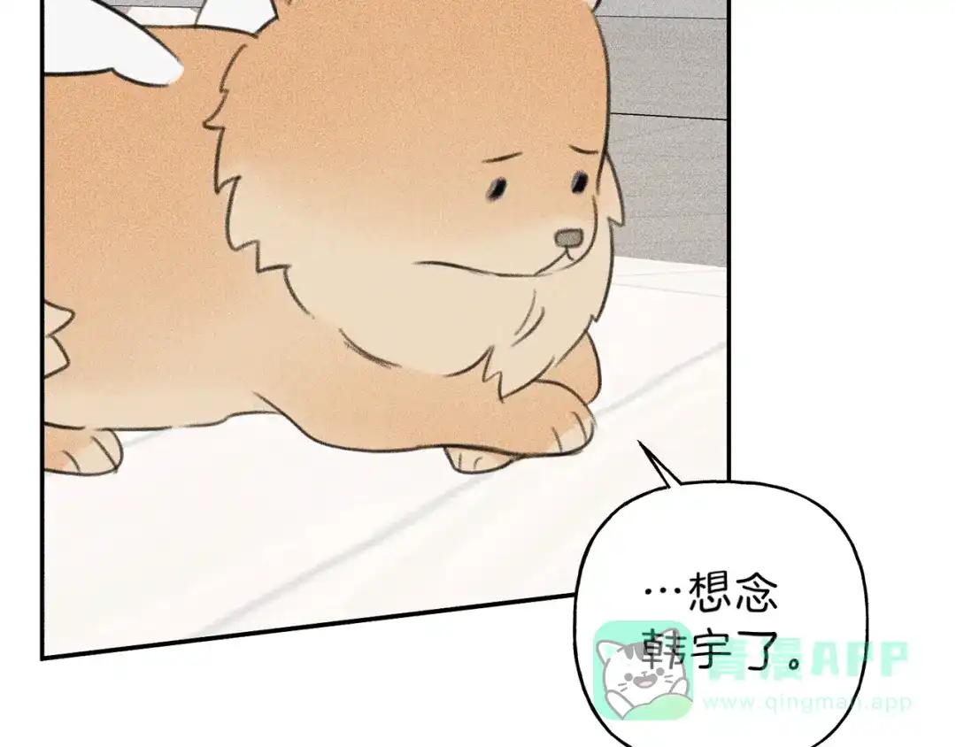 《天使拍档》第66话 兔子装如何？ 第96页