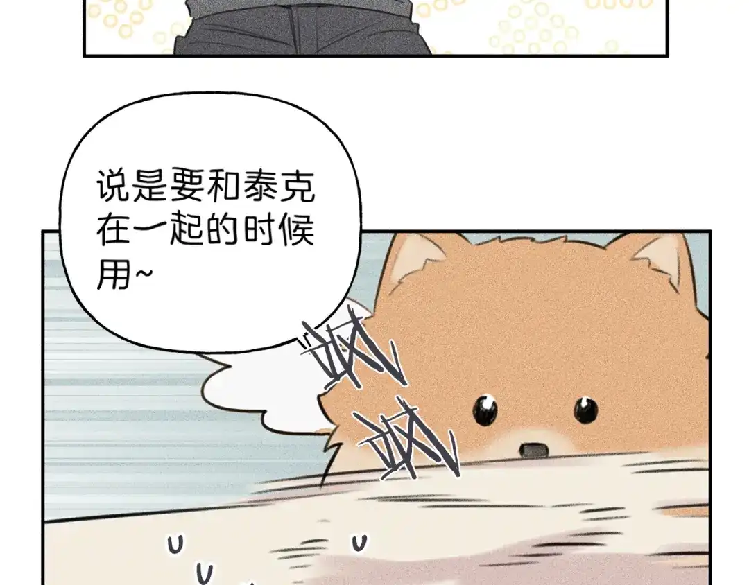 《天使拍档》第66话 兔子装如何？ 第53页