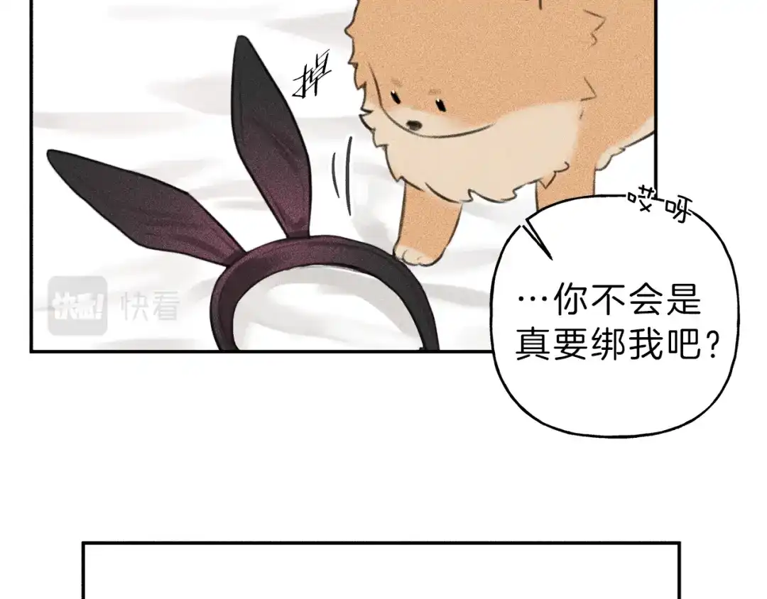 《天使拍档》第66话 兔子装如何？ 第45页