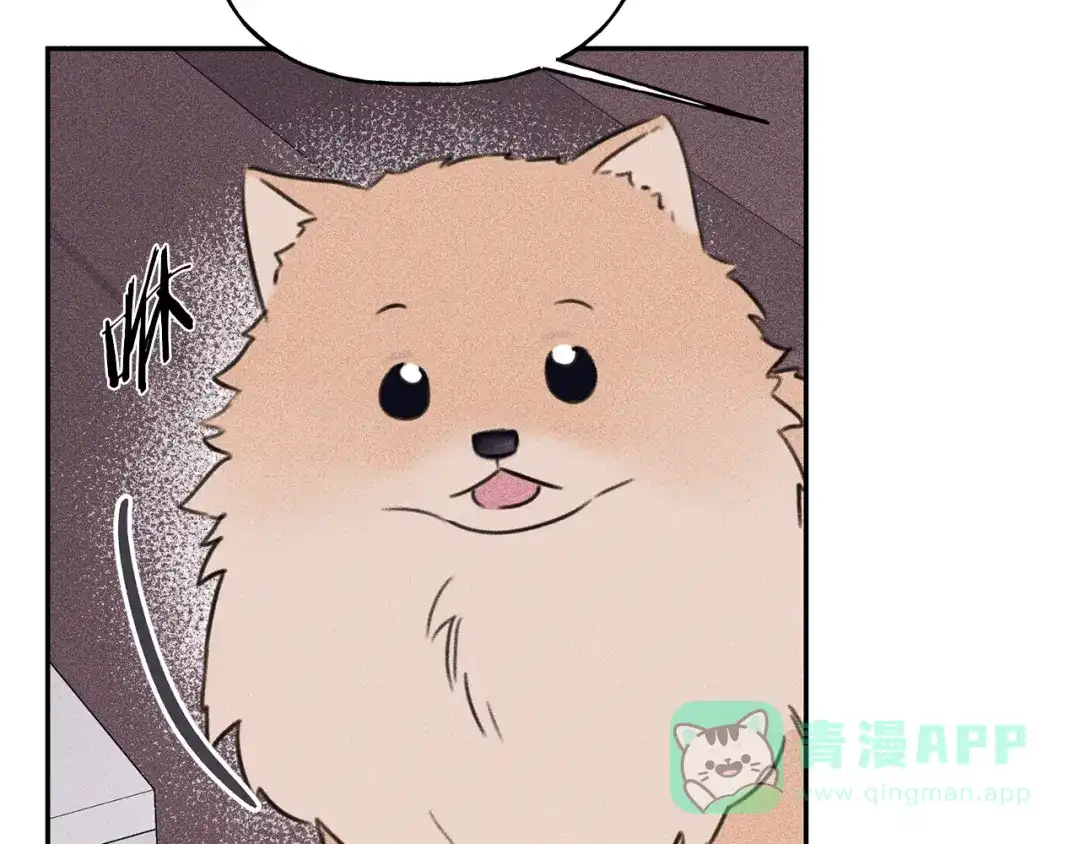 《天使拍档》第67话 被发现的秘密 第101页