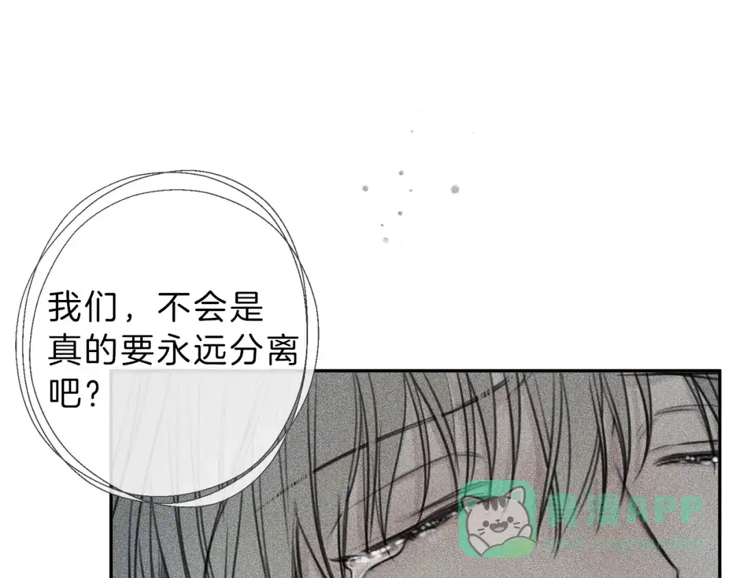 《天使拍档》第78话 复活！回到过去 第56页