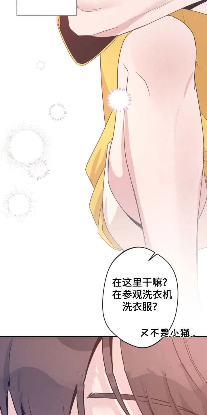 《天使之吻》第37话 第5页