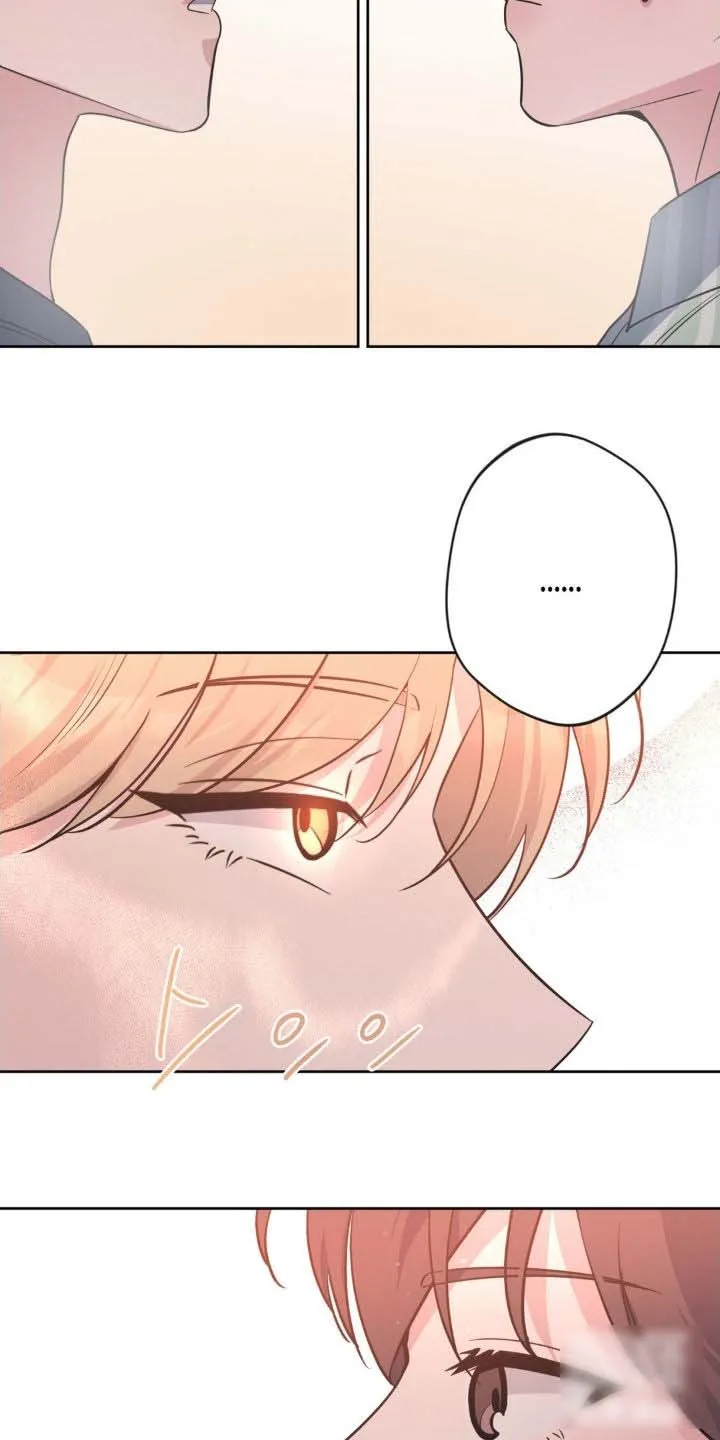 《天使之吻》第56话 第34页