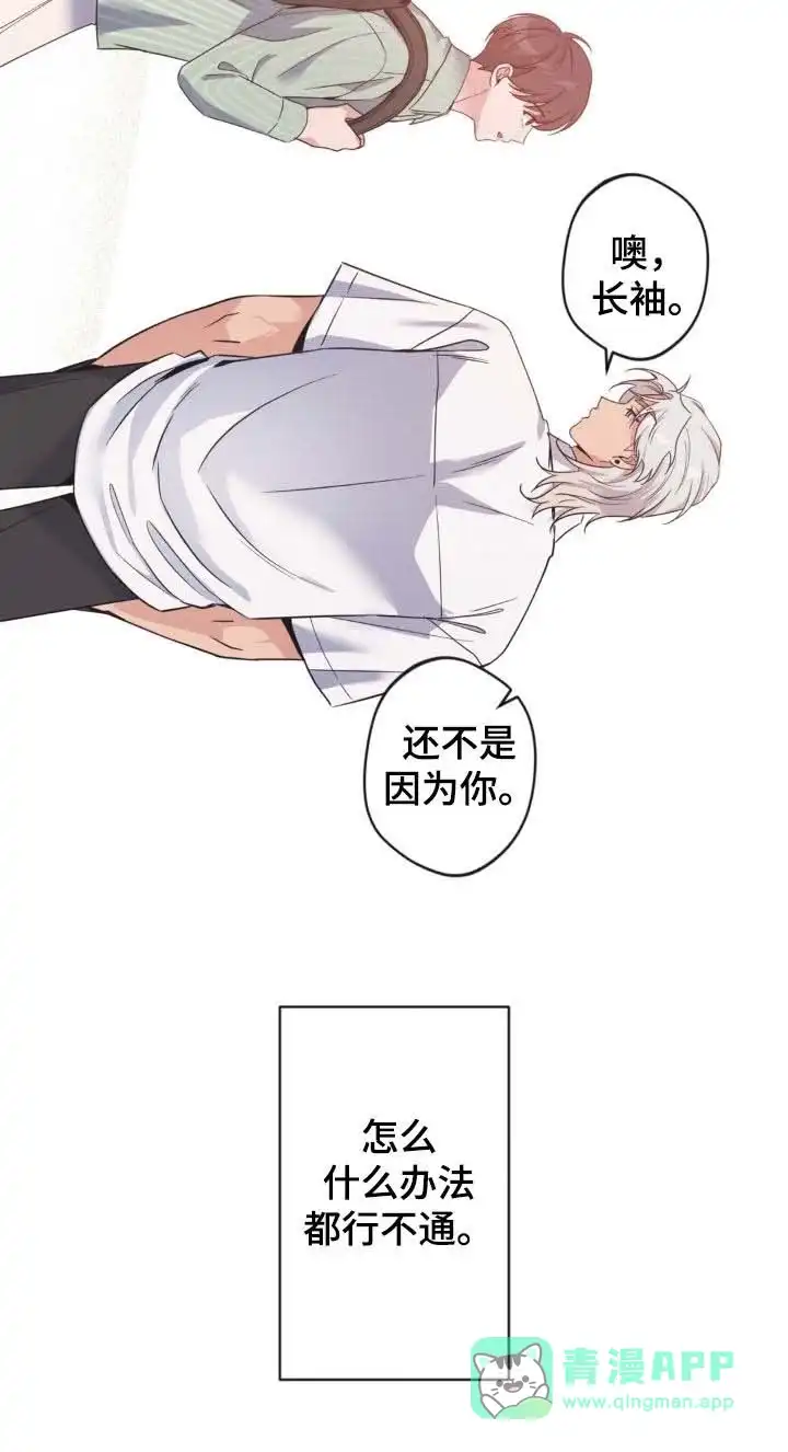 《天使之吻》第56话 第41页