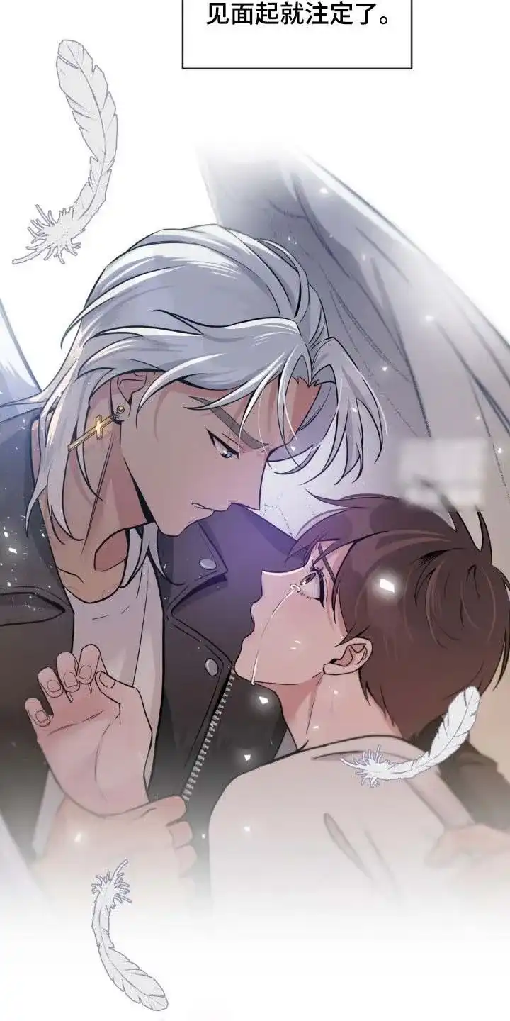《天使之吻》第68话 第23页