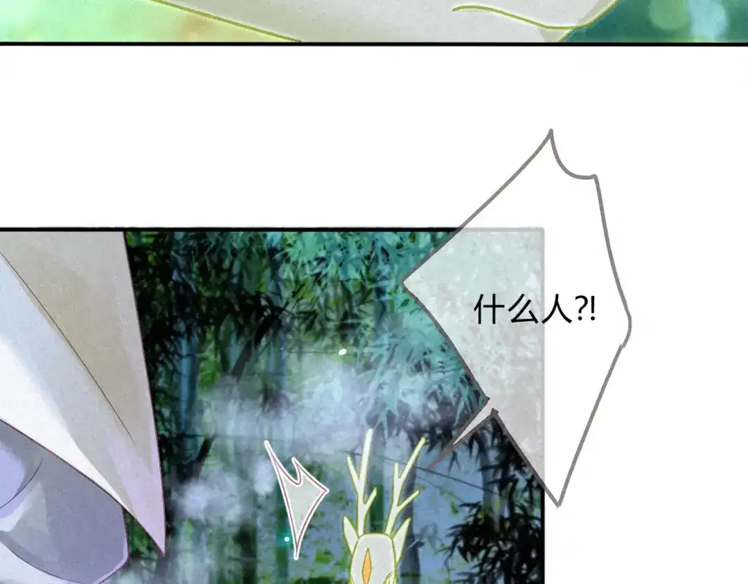《天恸璃泽殇》14 琉璃泪：夜会情郎？ 第39页