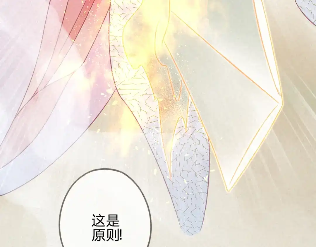 《天恸璃泽殇》16 琉璃泪：以命相护 第94页