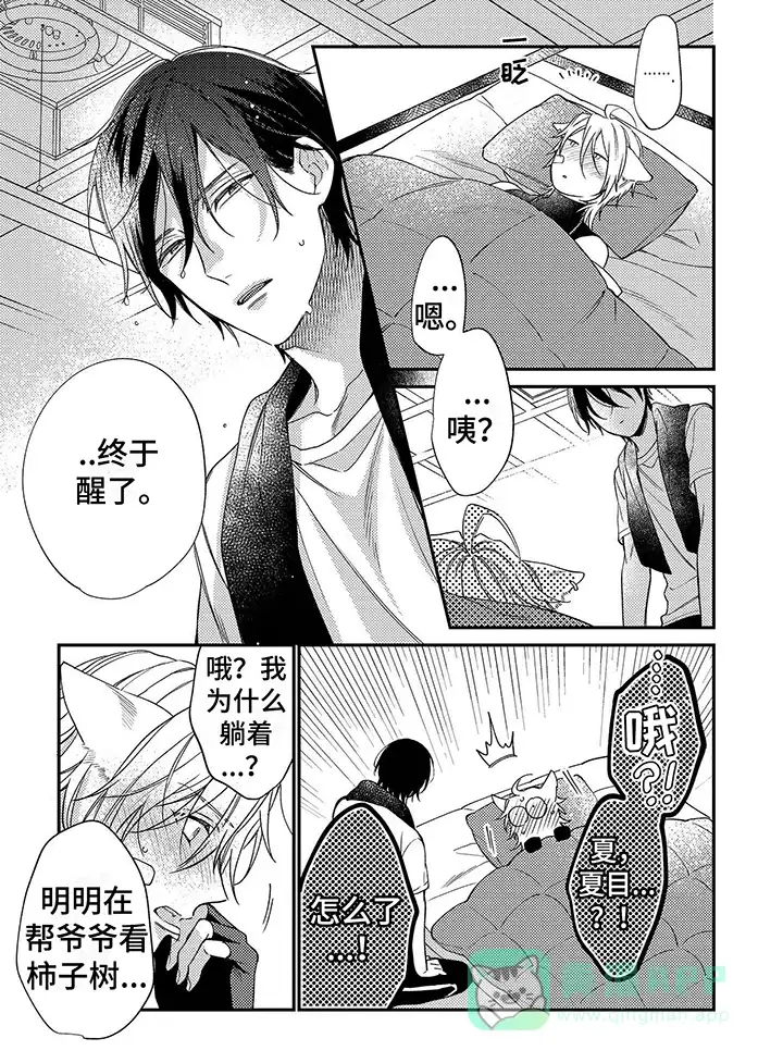 《甜香狐狸》第7话 第6页