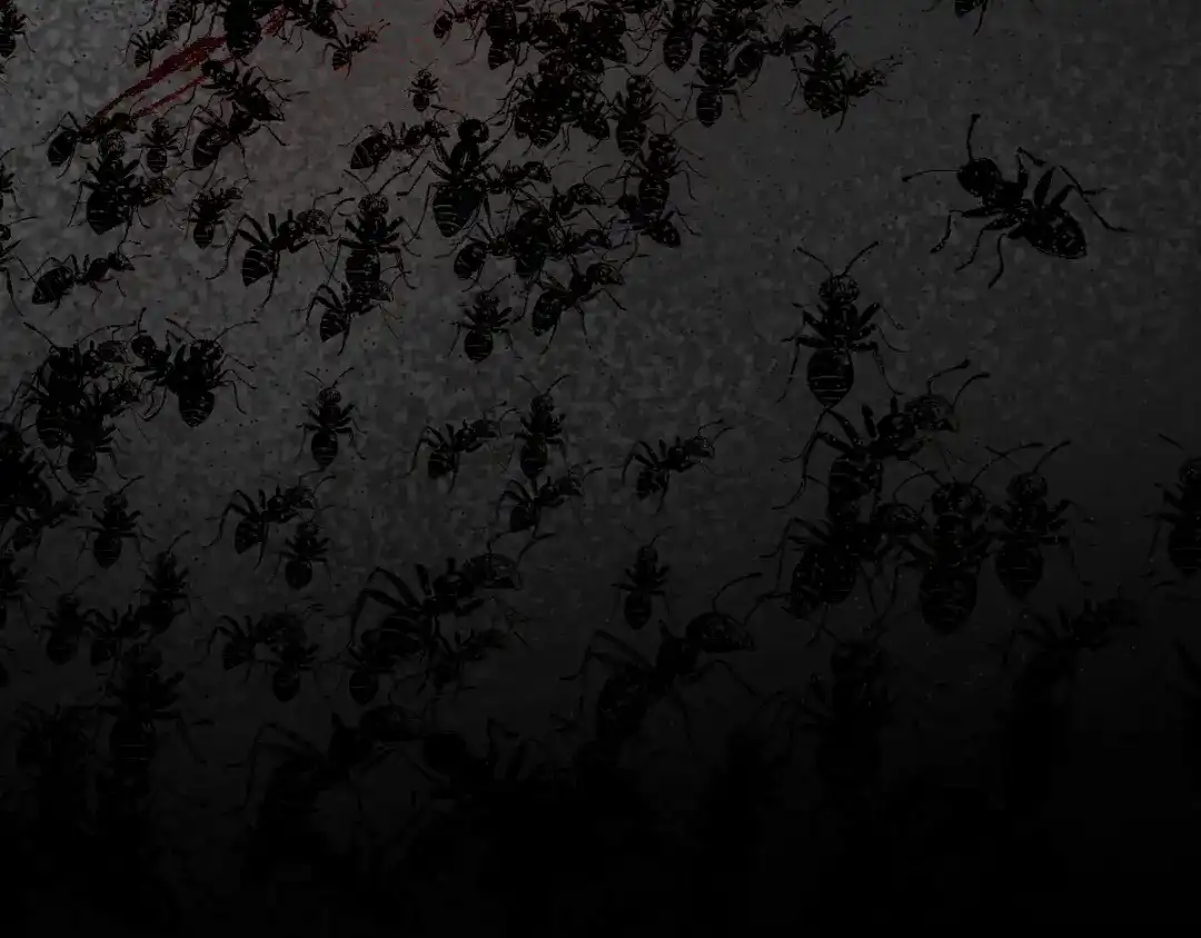 《天下无敌 转世投敌》序章 转世投敌 第42页