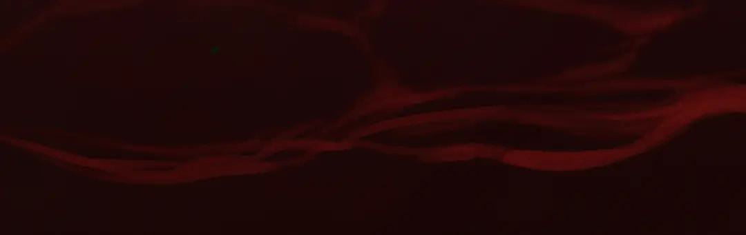 《天下无敌 转世投敌》第11话 杀！ 第107页