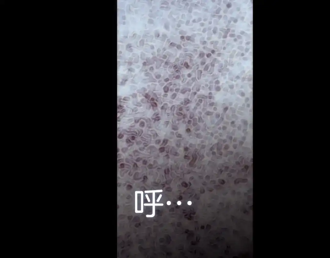 《天真有邪》第7话 我们的食物，也是我们的敌人 第12页