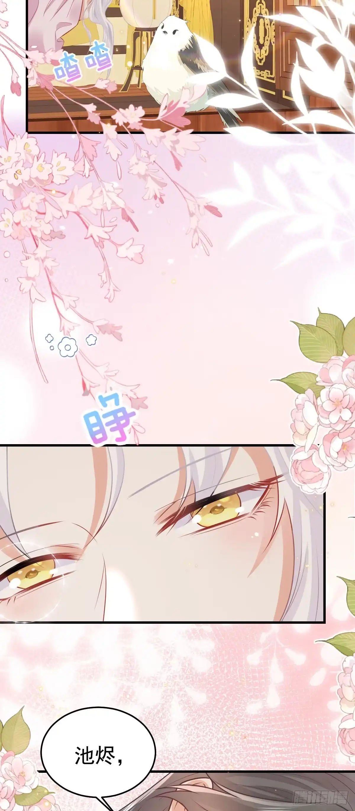 《徒儿！不可将为师据为己有！》第63话 今天给你看个够 第15页