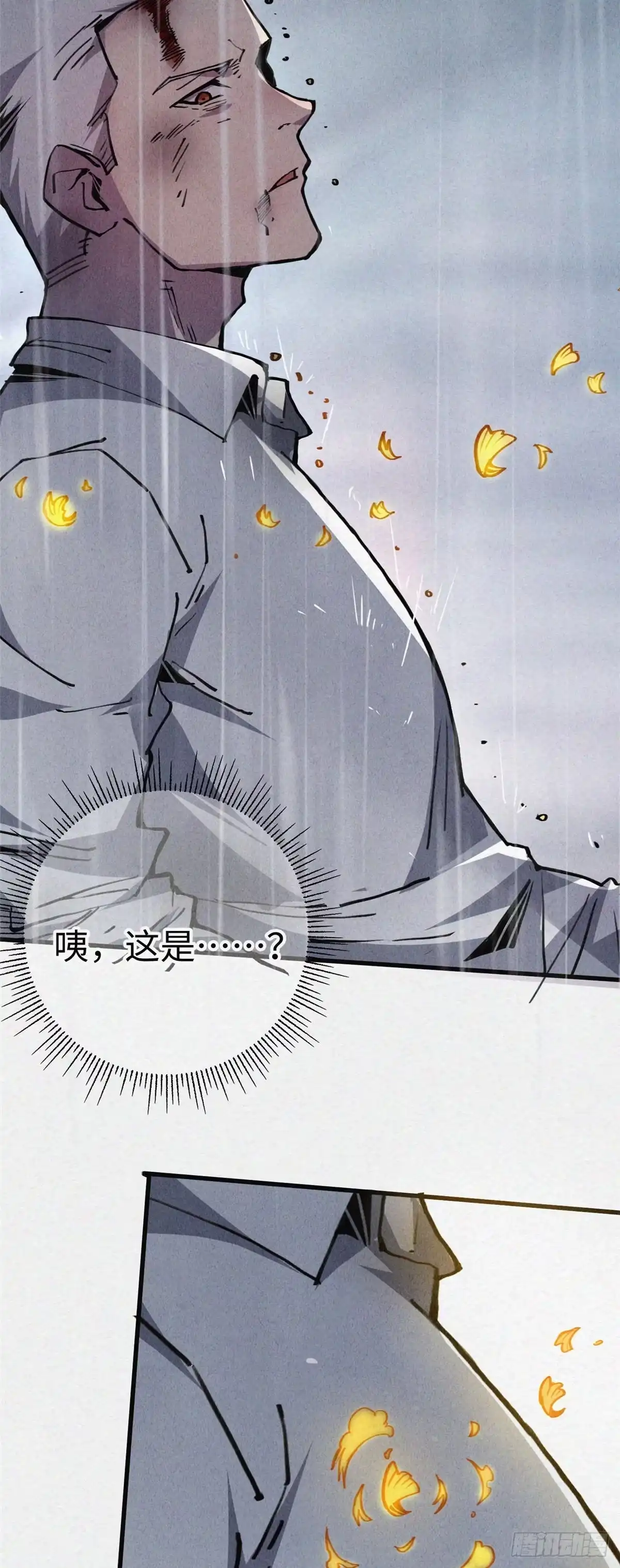 退后让为师来 02 斗战胜佛…唐洛？ 第10页
