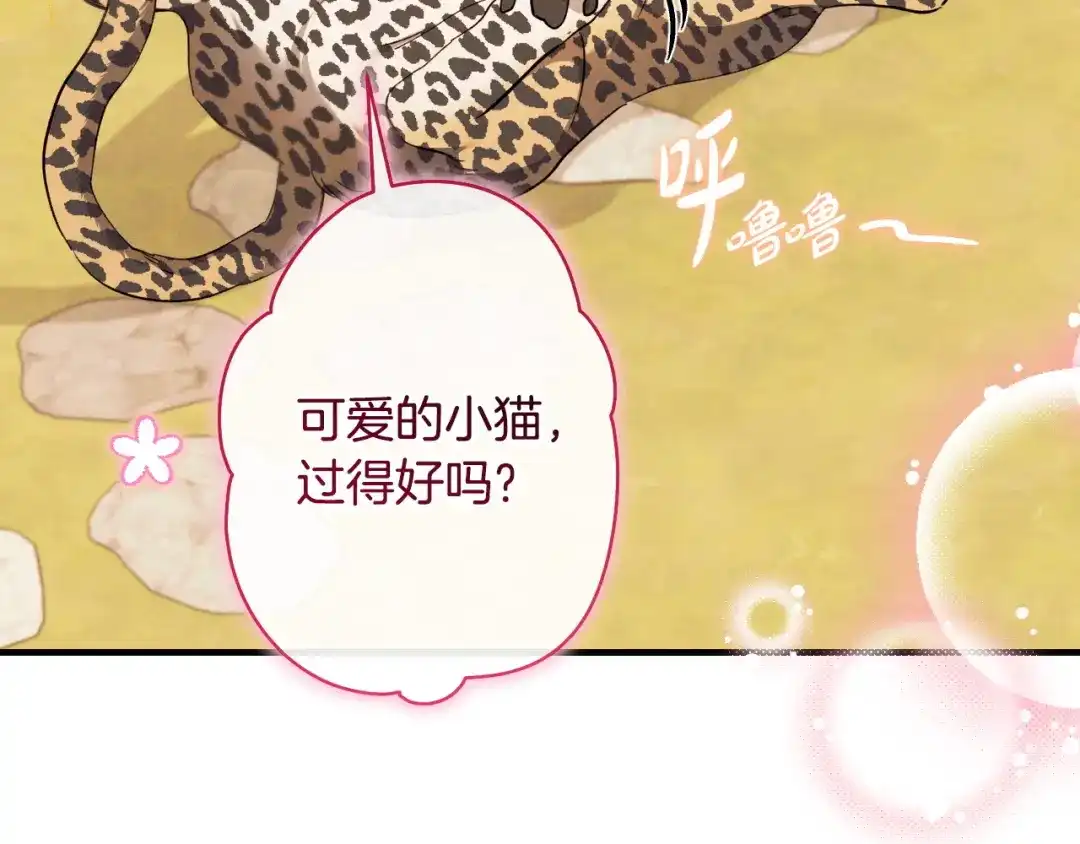 《吞石榴的蛇》第23话 逗猫 第70页