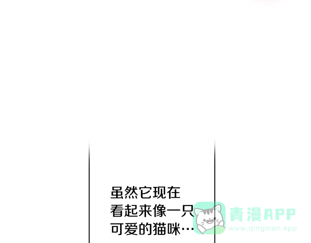 《吞石榴的蛇》第23话 逗猫 第71页