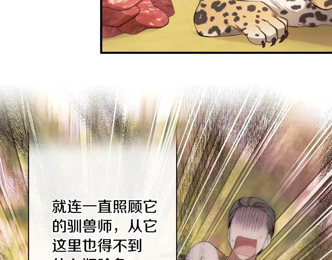 《吞石榴的蛇》第23话 逗猫 第77页