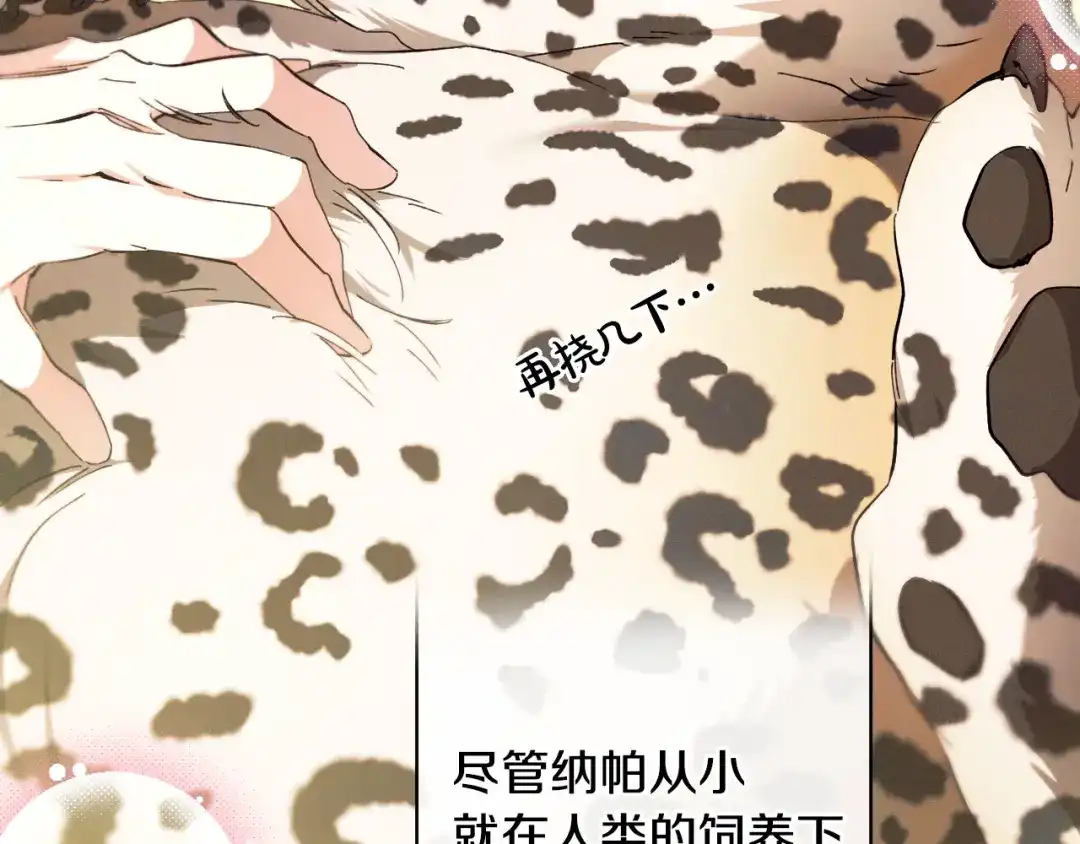 《吞石榴的蛇》第23话 逗猫 第73页