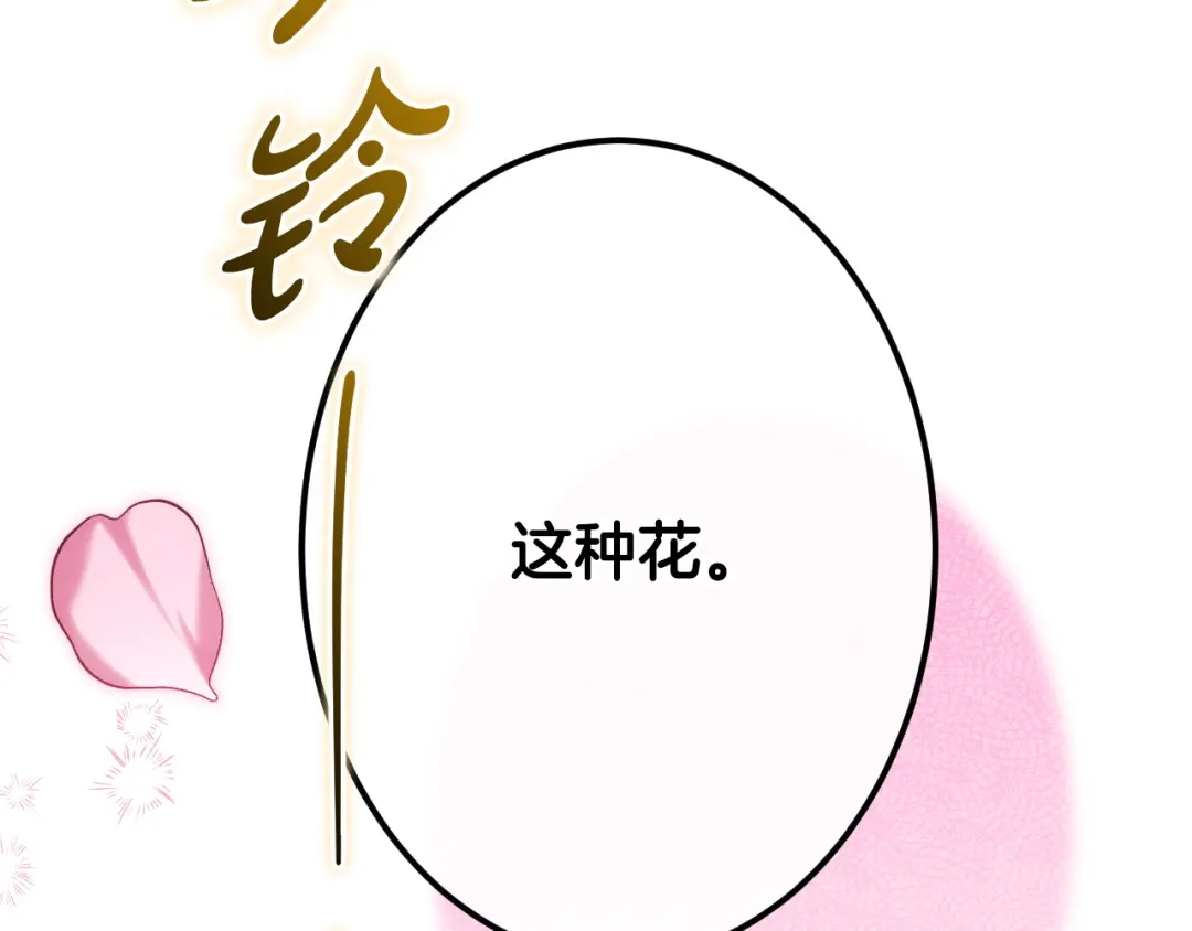 《吞石榴的蛇》第27话 夜游 第242页