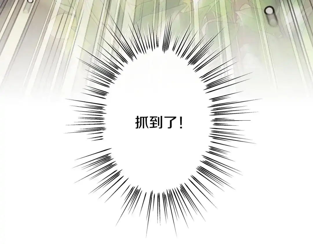 《吞石榴的蛇》第40话 你喜欢的 第217页