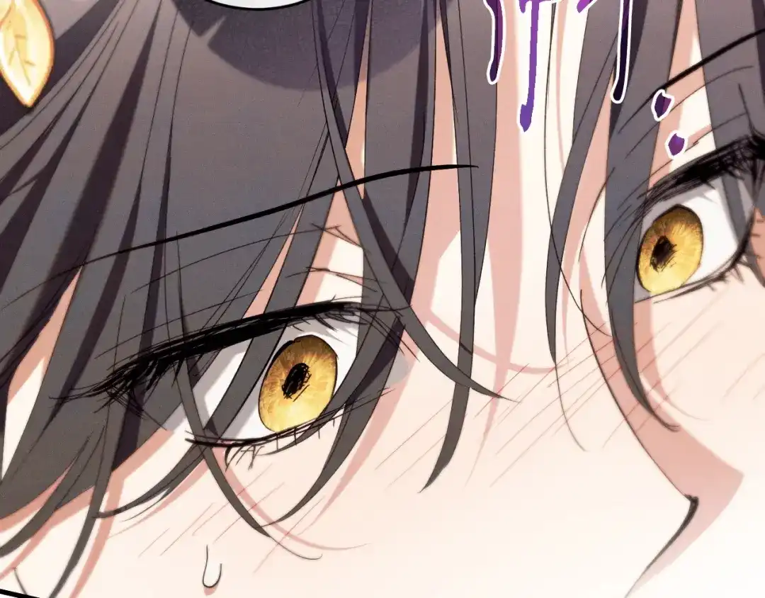 《吞石榴的蛇》第44话 外面的世界 第244页
