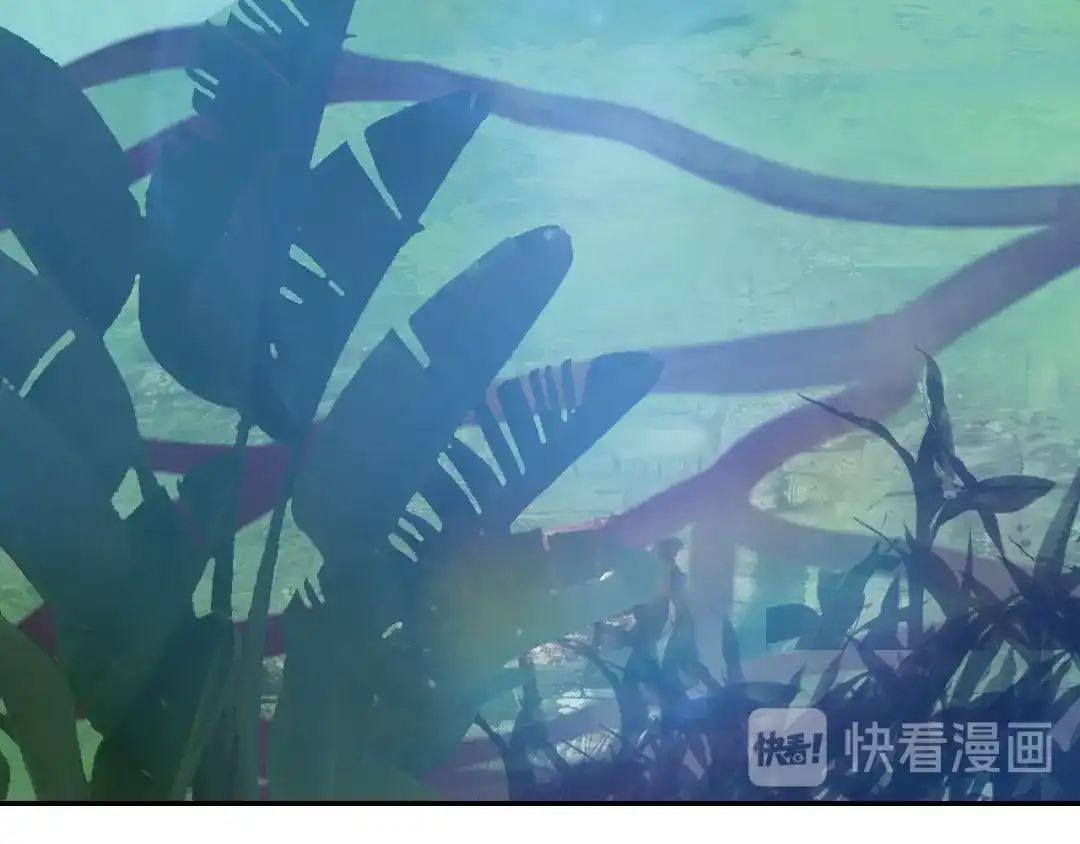 《吞下一个修仙世界》第53话 黑山秘境 第71页