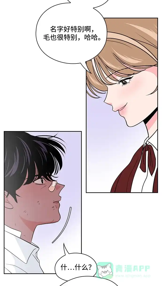《脱毛情仇》第45话 第49页