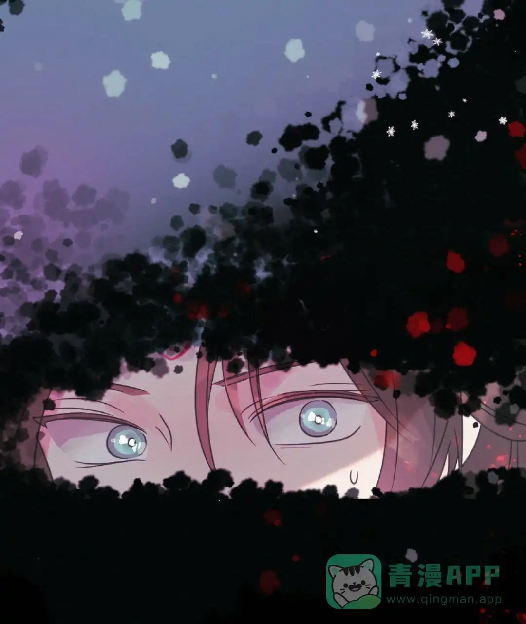 《兔兔的小龙宝》第11话 第51页