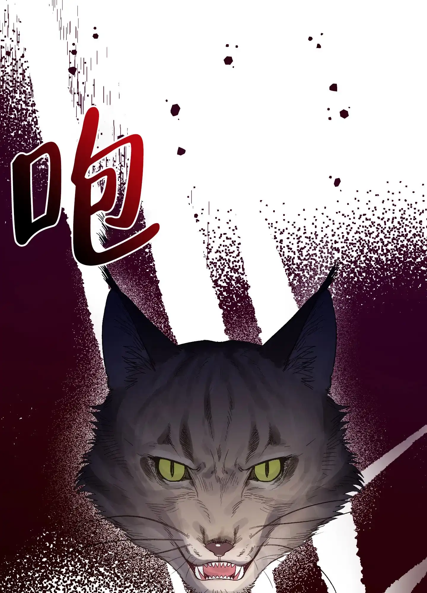 兔子与猫 第4话 第7页