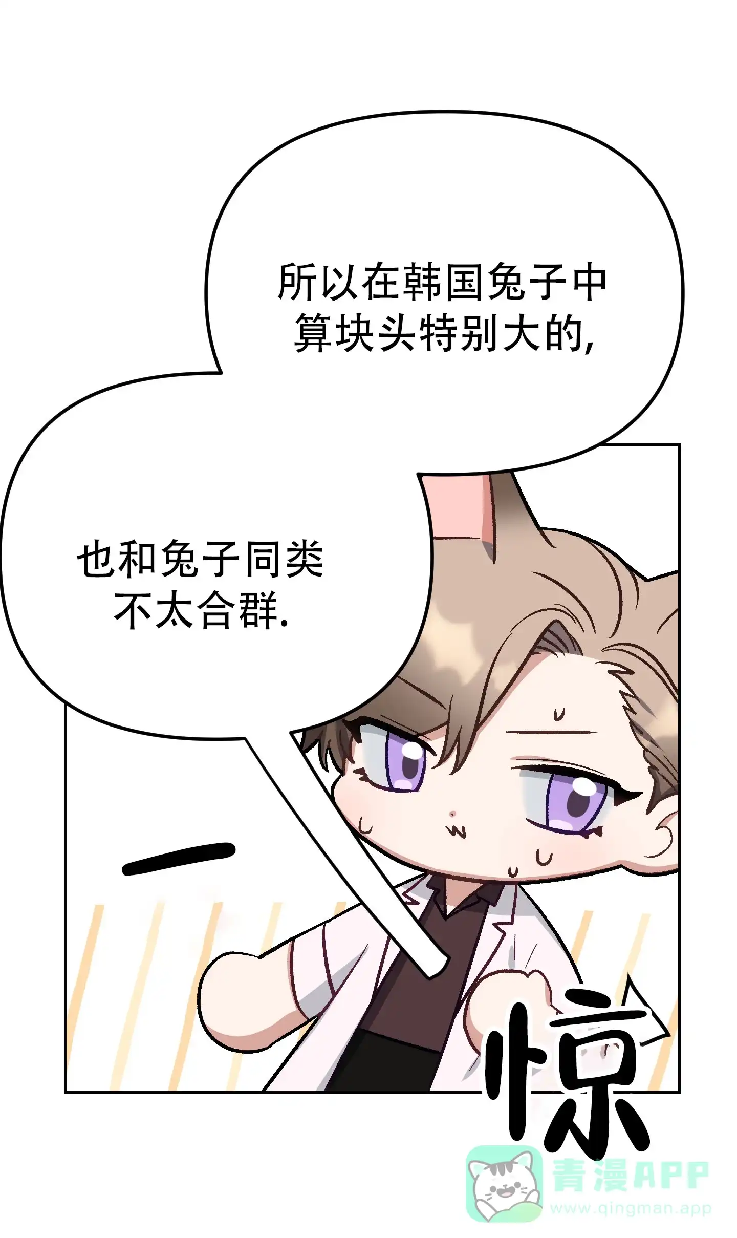 兔子与猫 第5话 第46页