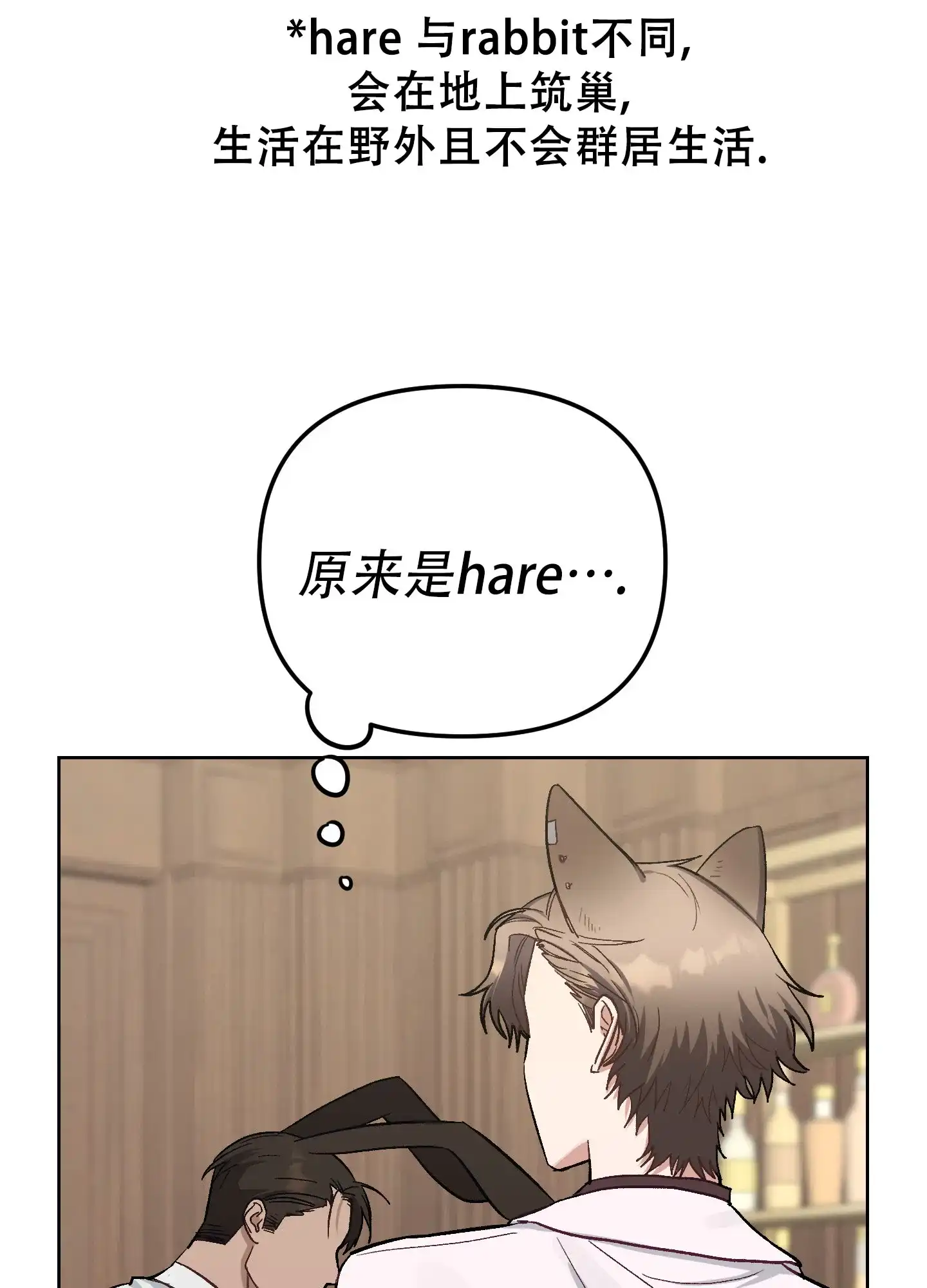兔子与猫 第5话 第44页